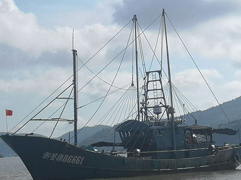 Passeios de barco para acabamento de veículos Nova