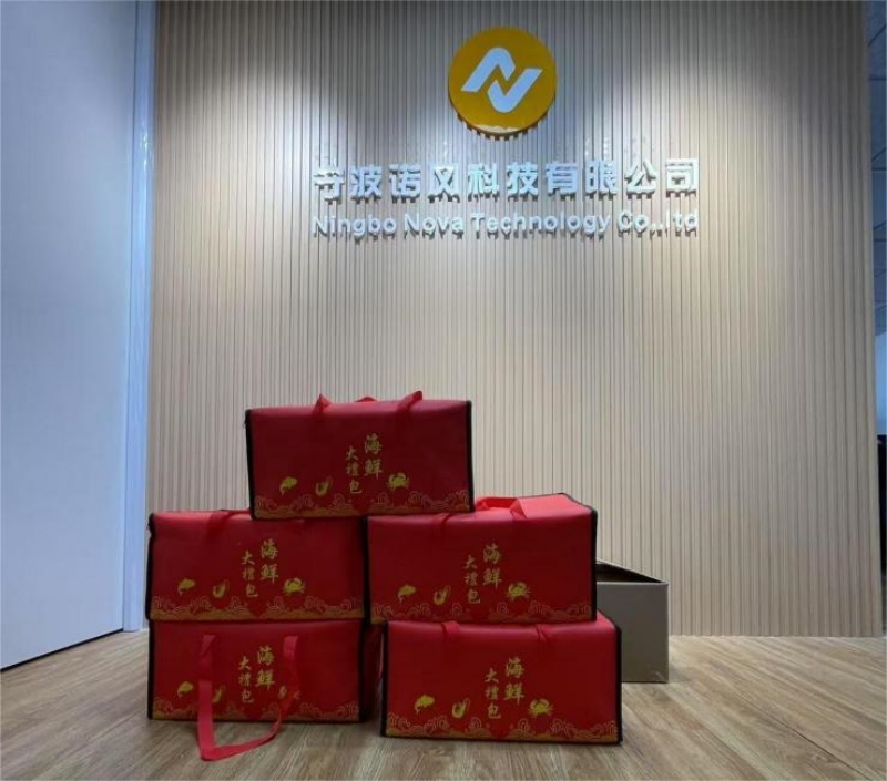 Férias de Ano Novo Chinês no veículo Nova
