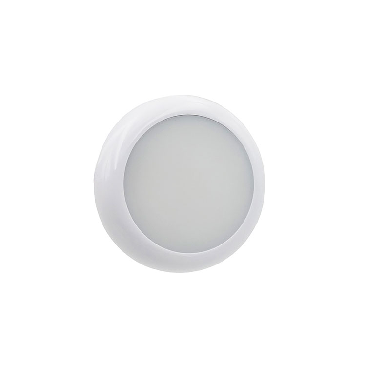 Luz interna do veículo